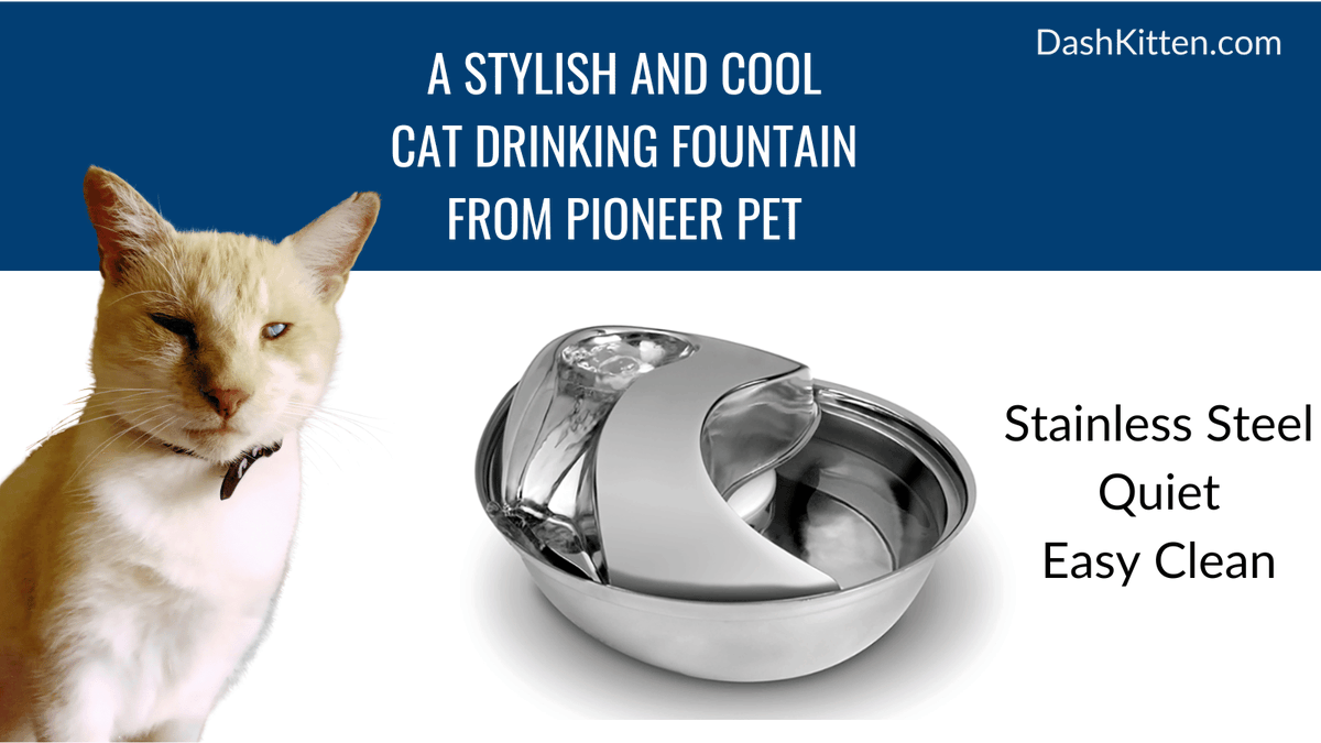 Let me show you the Raindrop Pet Fountain it's an easy care pet fountain that our cats just love to use! bit.ly/Raindrop_Fount… Pioneer Pet #cats #smallanimals #drinkingfountain #lifestyle #catslover #CatsOfTwitter #sponsored