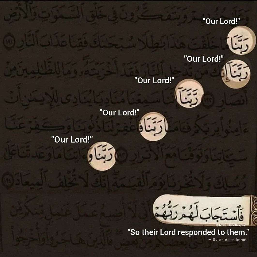 And your Lord says, “Call upon Me; I will respond to you.” -Quran 40:60