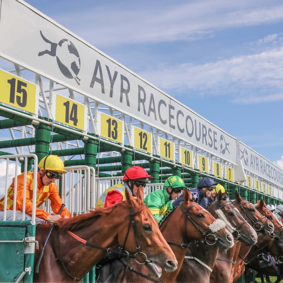 🐎 Day 4 of 4 Horse Racing Tipping Competition 🐎

🐎MONDAY 29 APRIL🐎 #PigeonSwoop4
@ayrracecourse 245 315 350 425

📺 @RacingTV 📺

#OpenToAll ✅