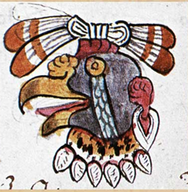 Christopher O'Connor tweet media