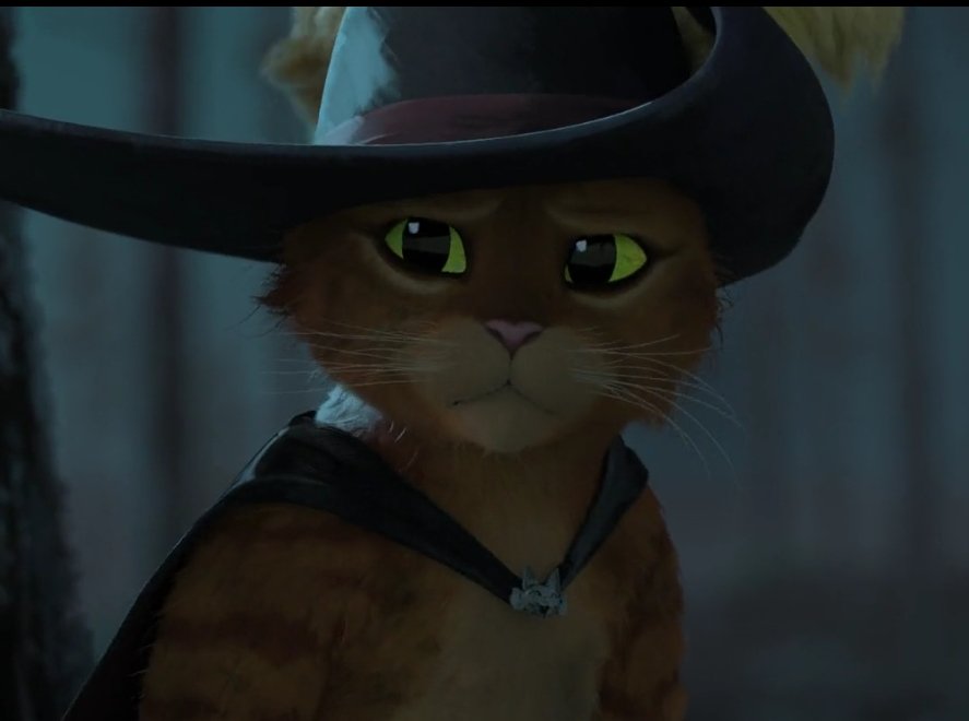 Okay, at this point I think everyone knows that there are parallels between Death and Kitty in PIB:TLW...

BUT DID DREAMWORKS REALLY HAVE TO MAKE THIS A PARALLEL? 😭

#PussInBoots #PussInBootsTheLastWish #TheLastWish