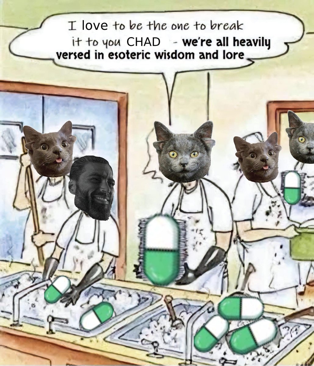 Midas the Mutated Cat ∴ tweet media