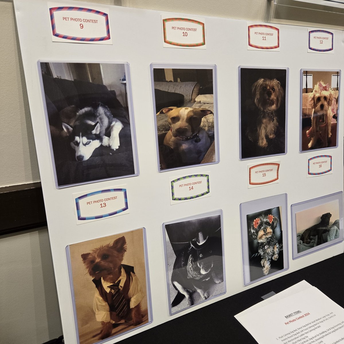 As part of our 'Giving the Boyd Way' initiative, team members showcased their adorable pets for a good cause. Voting was done through cash donations & the top two pets who got the most votes won prize packages. Congratulations Chico & Milagros and Fluffy & Lisa!