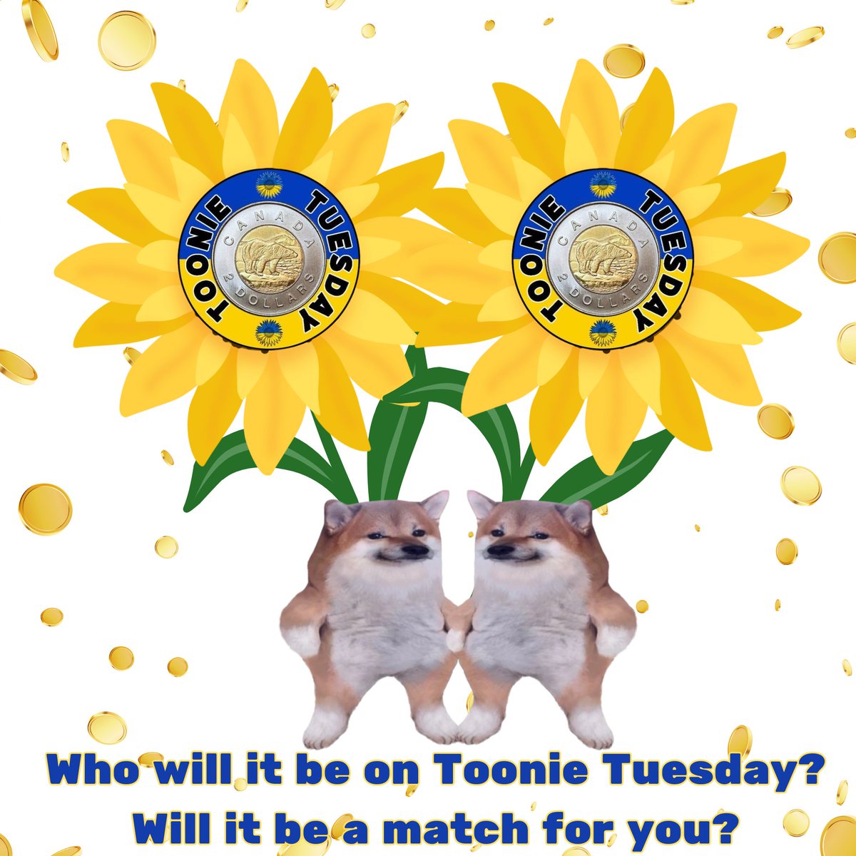 Are you ready for #ToonieTuesday?   Who will it be?