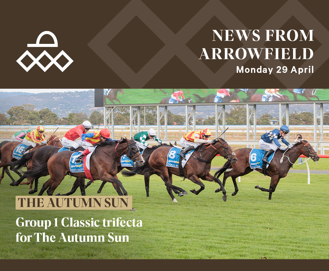 Saturday’s magnificent G1 Australasian Oaks 1-2-3 by Vibrant Sun, Private Legacy & Coco Sun marks a historic achievement for The Autumn Sun, who joins Sir Tristram & High Chaparral as the sire of a G1 Classic trifecta. Read: bit.ly/3xUjmQJ