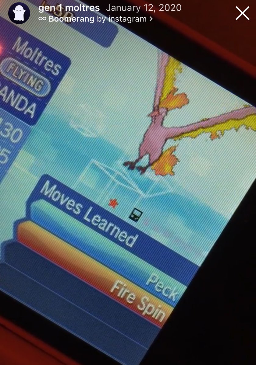 My Gen 1 Moltres takes all rare slots for me🥹🔥