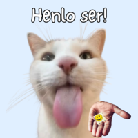 LSDcat_sol's tweet photo. @itsbaabo @dustybc message approved https://t.co/2CqruIyBQb