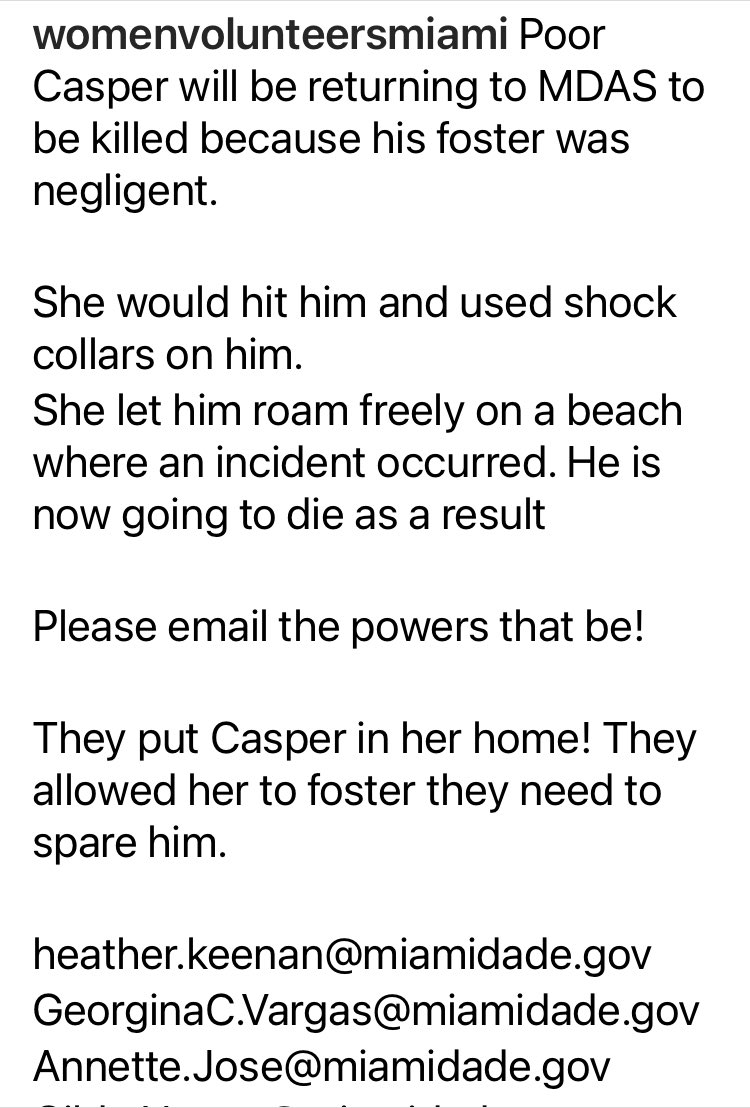 Miami-Dade shelter gave poor Casper to Erika López to foster. She used a shock collar on him, beat him, let him off leash and he had an incident on the beach. Now she's threatening to kill him or dump him back at the shelter. Call. Email. Help this dog. RT #AnimalAbuse