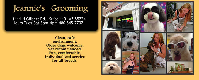Jeannie’s Grooming, 1111 N Gilbert Rd Ste 113 in Gilbert, AZ has been grooming dogs & cats - all breeds, for 43+ years. Older dogs welcome. FMI: 480 545-7707, jeanniesgrooming.com
This business has an AZ Rider Premium Link. FMI: tinyurl.com/y9gmrmna #AZRiderSW