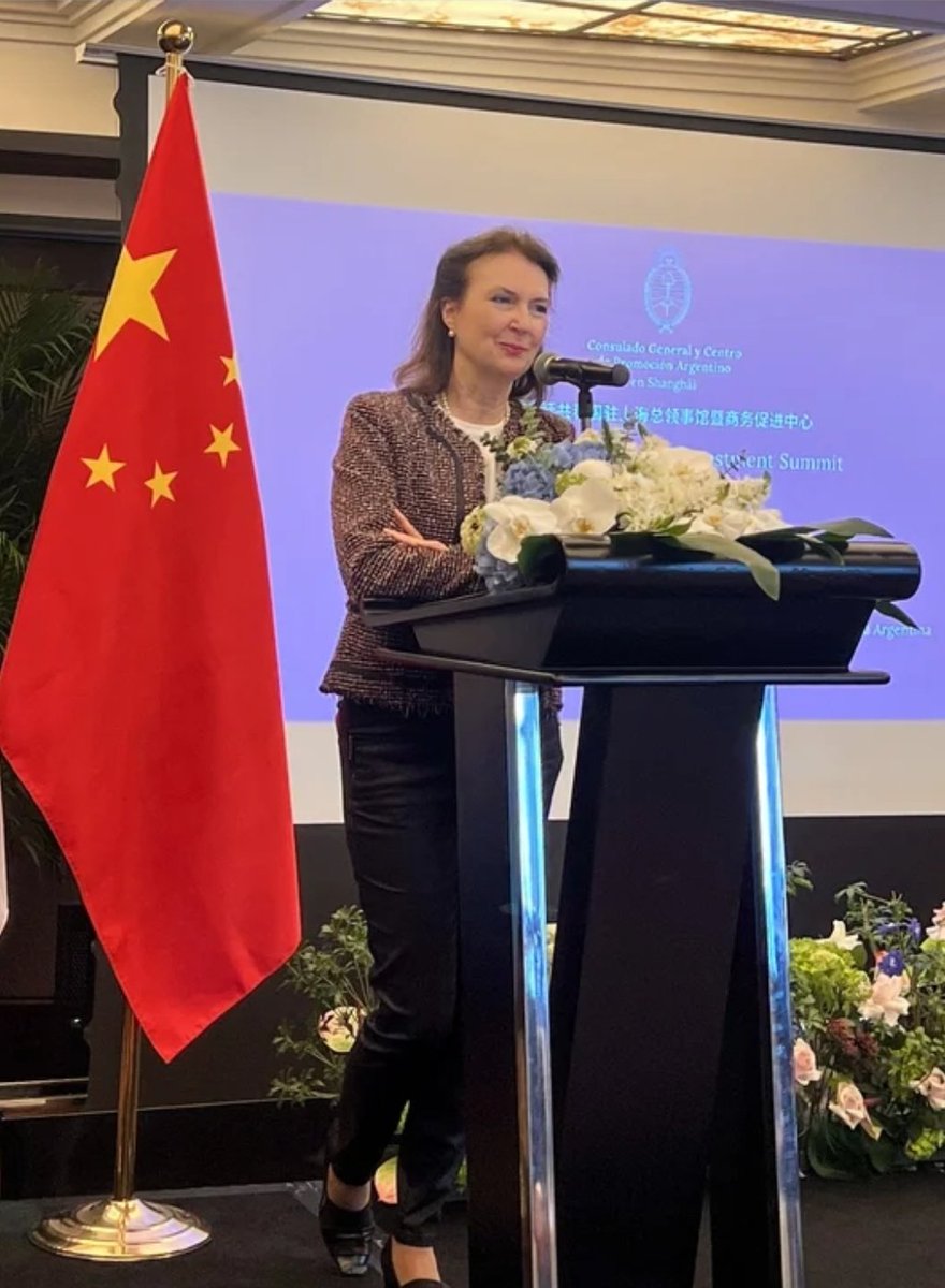 BiondiniCesar's tweet photo. Comenzó la gira de Mondino y el equipo económico de Caputo por China, cuyo objetivo es mendigarle al Partido Comunista local una prórroga del swap y la reactivación de inversiones en minería y represas. Los libertarios intentan evitar fotos con muchas banderas rojas o cuadros de Mao, pero Beijing se encargará de pasearlos por cuanto monumento rojo haya.