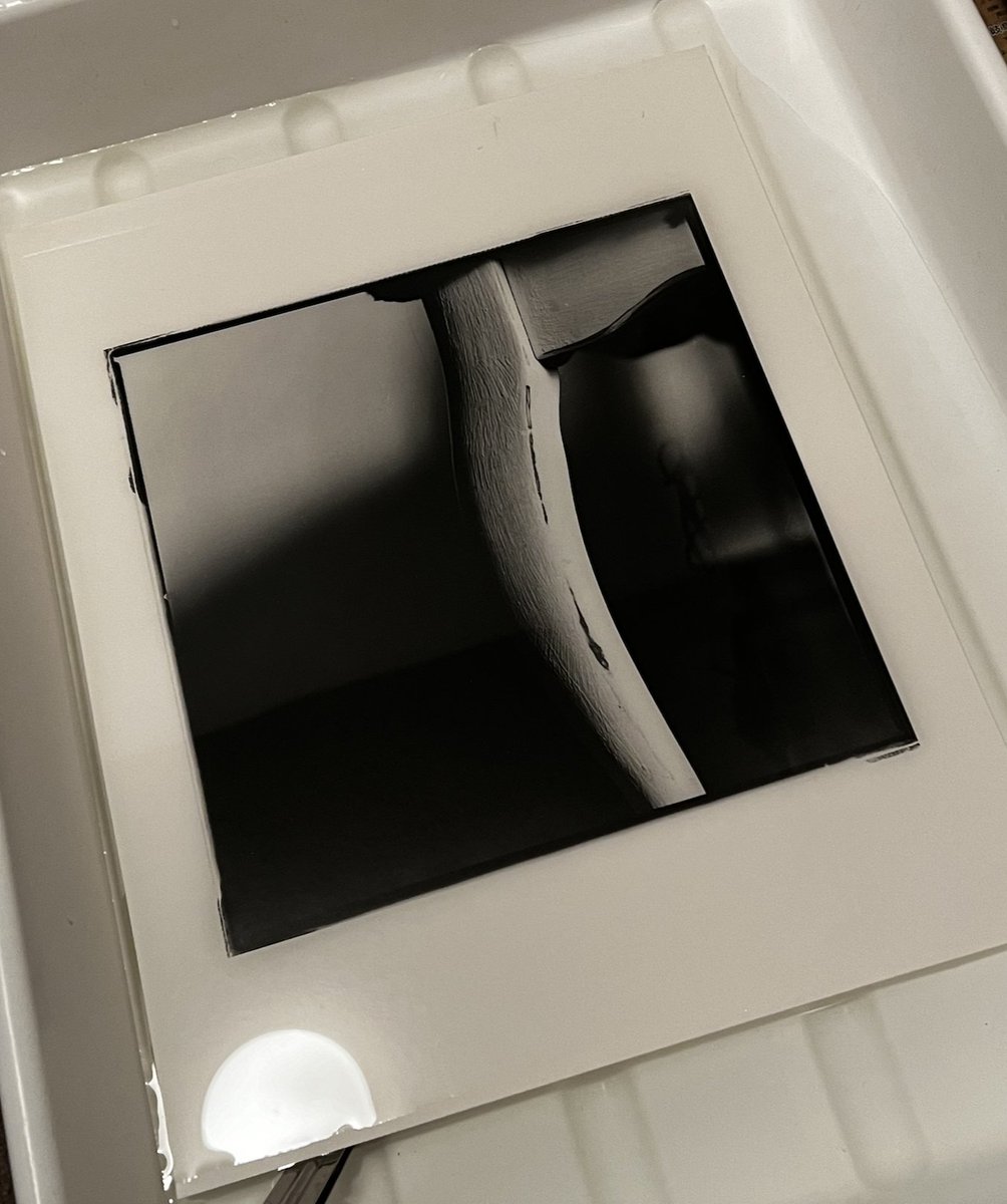 日曜日は暗室の日です。#darkroom #darkroomprint 
#darkroomphotography #darkroomprinting @Hasselblad @ilfordPhoto #hasselblad #ilfordmultigradeclassicfbpaper #analogphotography #filmphotography #kodaktrix @kodak   #hasselblad500CM #hasselblad120mmcfi #believeinfilm #filmisnotdead