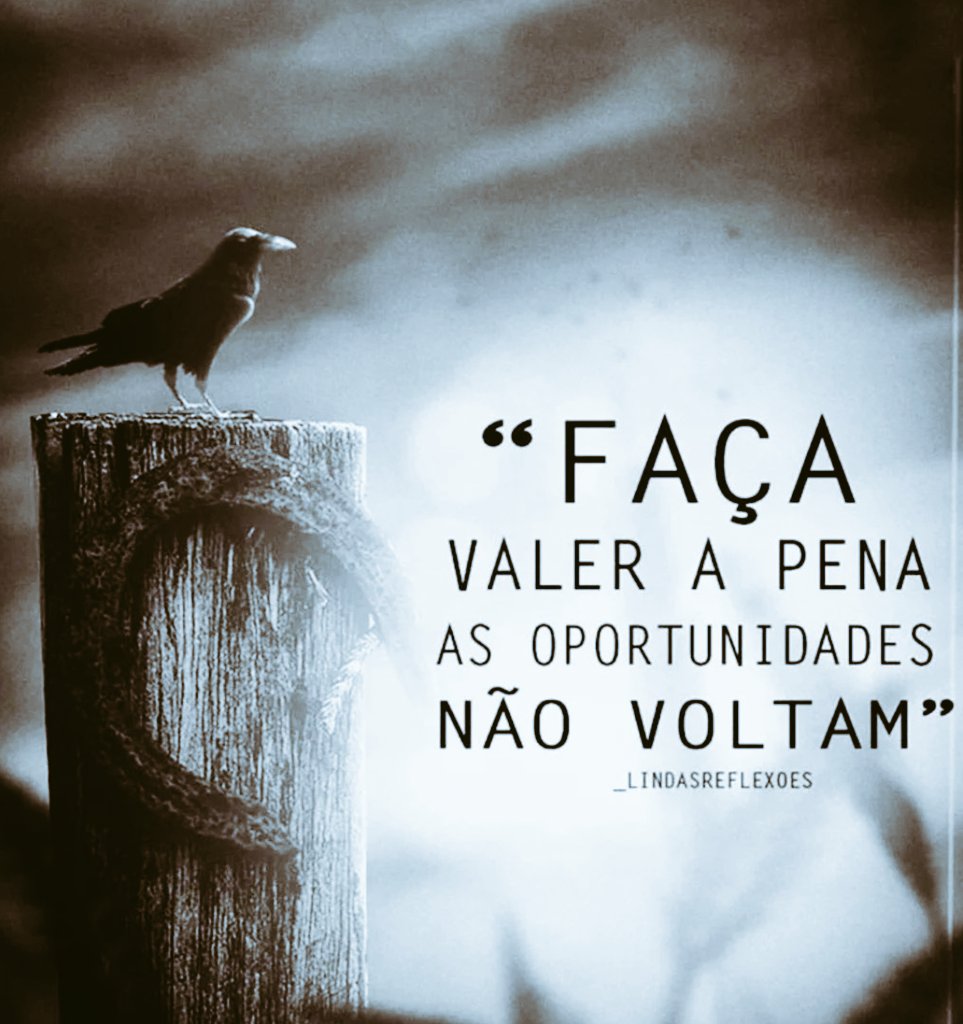 𝑇ℎ𝑎𝑙𝑒𝑠 𝐺𝑜𝑚𝑒𝑠 (@thales_gomyz) on Twitter photo 