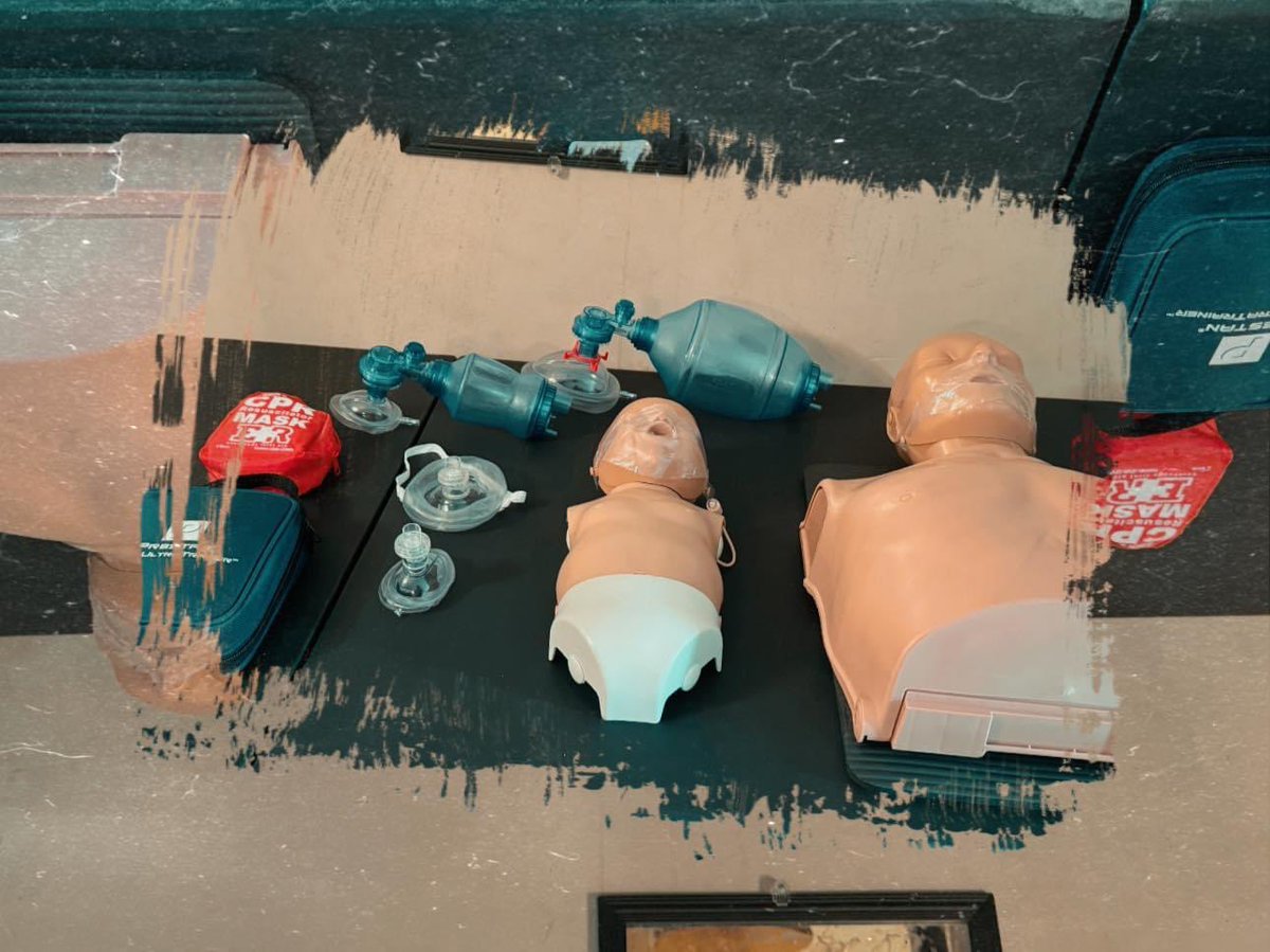 Gainesville, FL & Surrounding Areas: American Heart Association BLS Provider Certification $50 Heartsaver CPR, First Aid, & AED $66 Inbox to book your next class 🫀