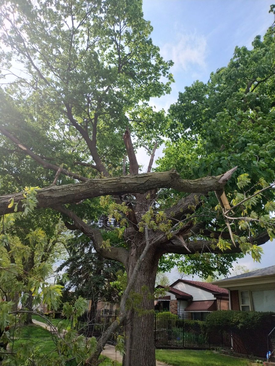 @NWSChicago @2B_AMAZING #OLEWTVWEATHER: STATUS➡️⬅️REP🌐RTS 
#StatusOfTheWeather: South-side..Ss..#Chicago
Damaging winds.. Calumet Heights. #ilwx #inwx