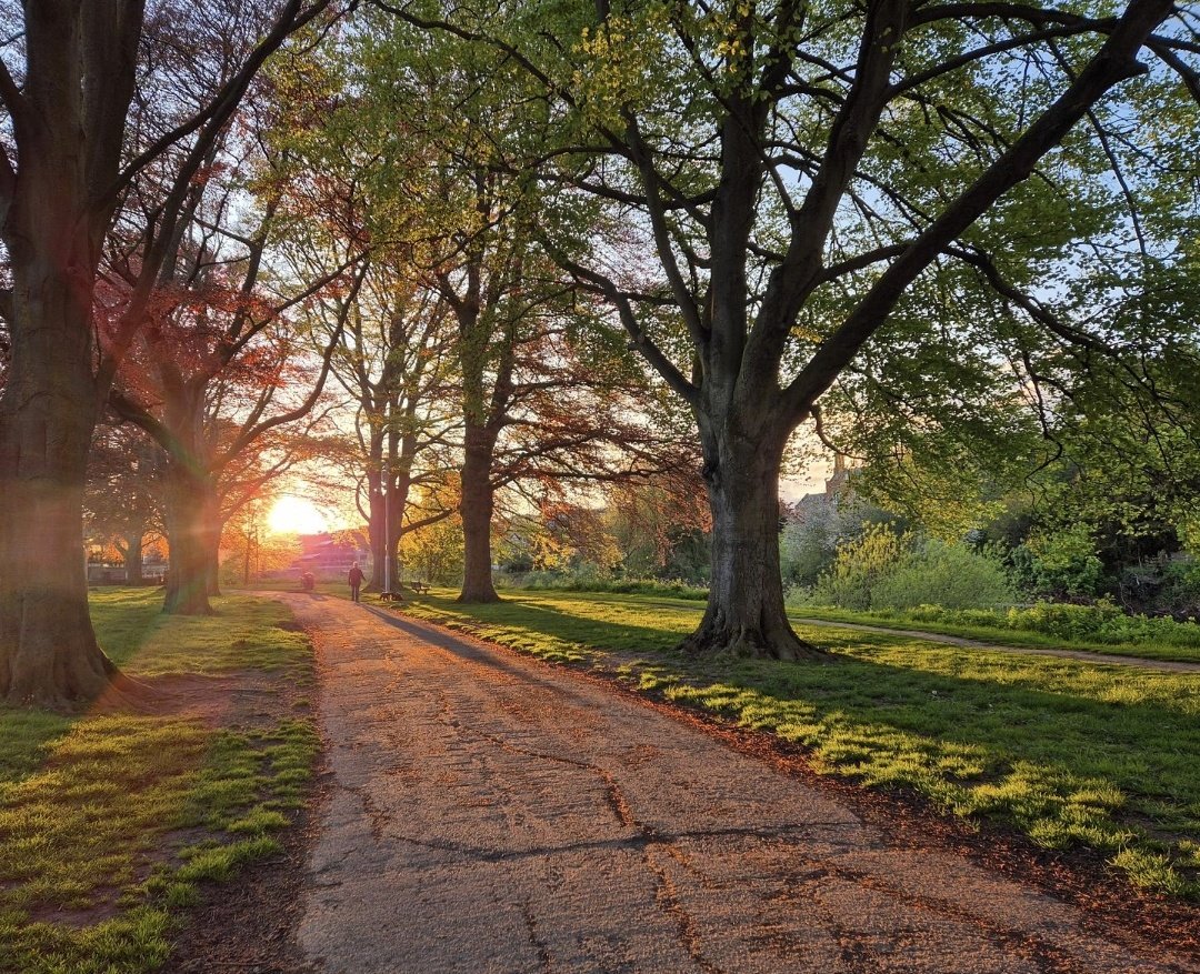 sharonamery's tweet photo. An evening stroll around Hereford! 🌅

#hereford #herefordshire #bishopsmeadow #park #riverpath #trees #nature #sunset #spring #springvibes #bluesky #sunshine #walking #exploring #weekendexploring #weekendvibes #sundayvibes https://t.co/BAL8bksWS8