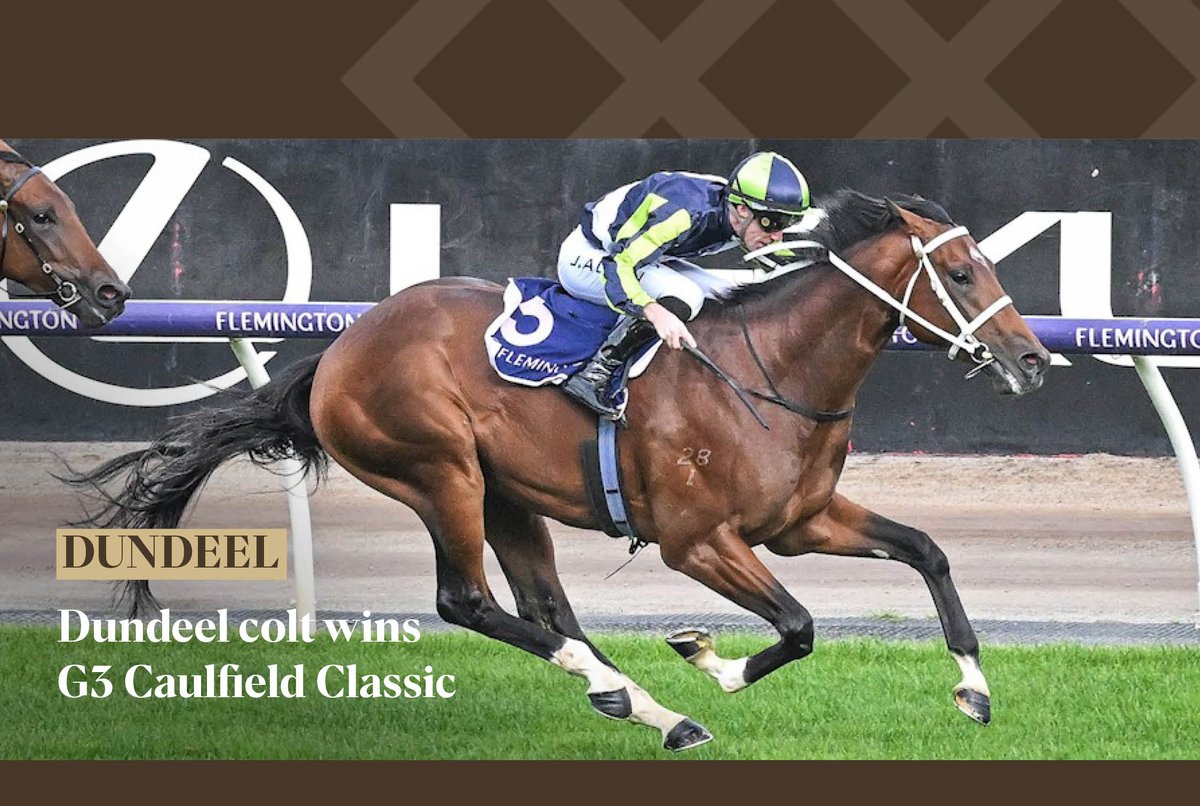 Dundeel’s record as a sire of quality juveniles was extended on 25 April at Flemington when his son Epimeles strode to victory in the LR Anzac Day Stakes, a month after his debut win at Sandown. He is the 28th career SW for Dundeel & his 3rd SW this month. Read: