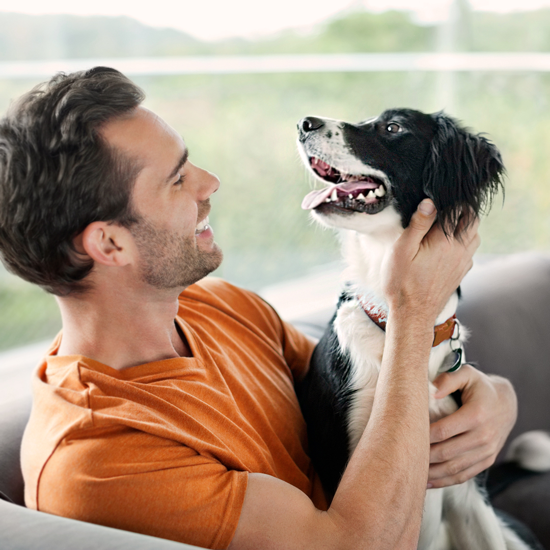 We know raising a four-legged friend is hard work, so give yourself a round of a-paws today and every day! 👏 #NationalPetParentsDay

#Nylabone #dogdad #dogmom #dogparents #petparents