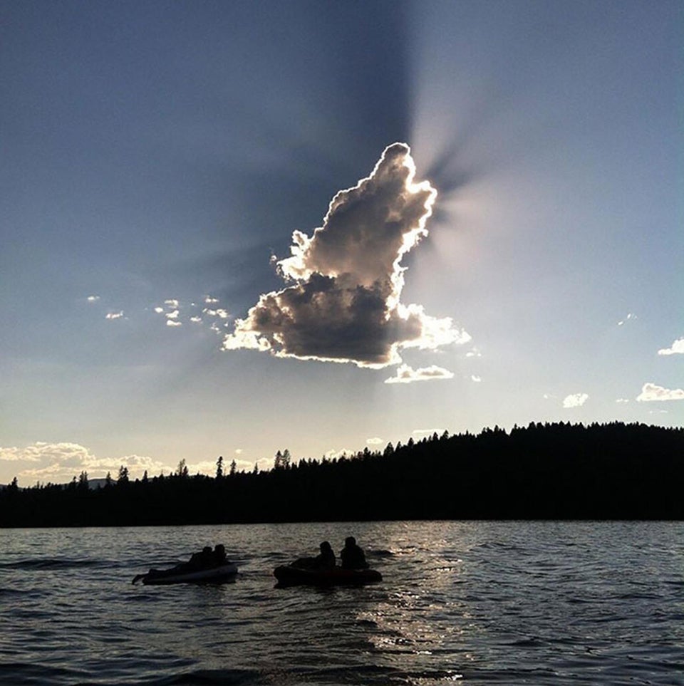 All dogs go to heaven