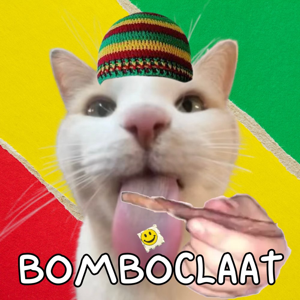 LSDcat_sol's tweet photo. @itsbaabo @ministerr wahgwaann https://t.co/btpQkIBgE1