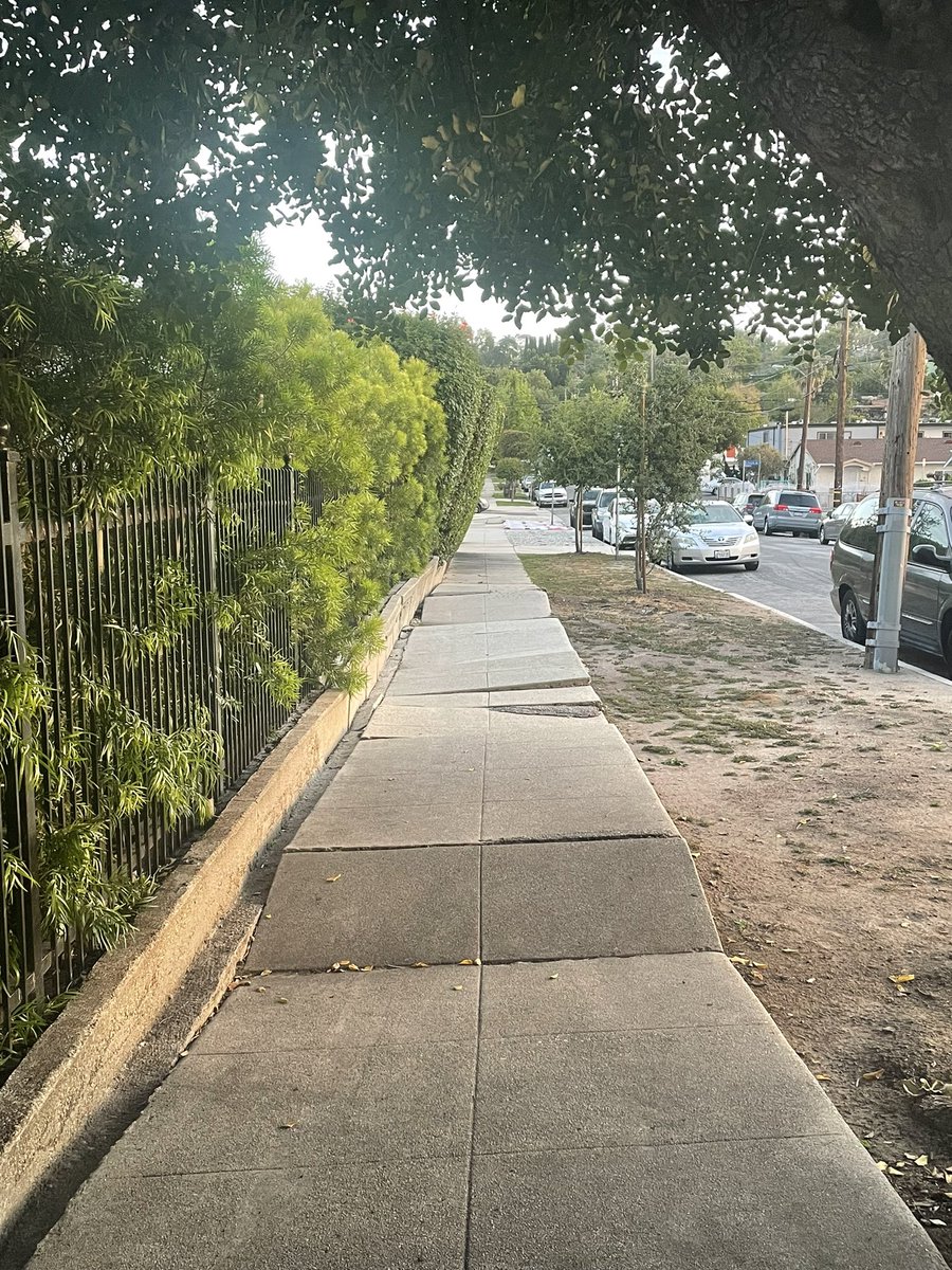 most normal LA sidewalk