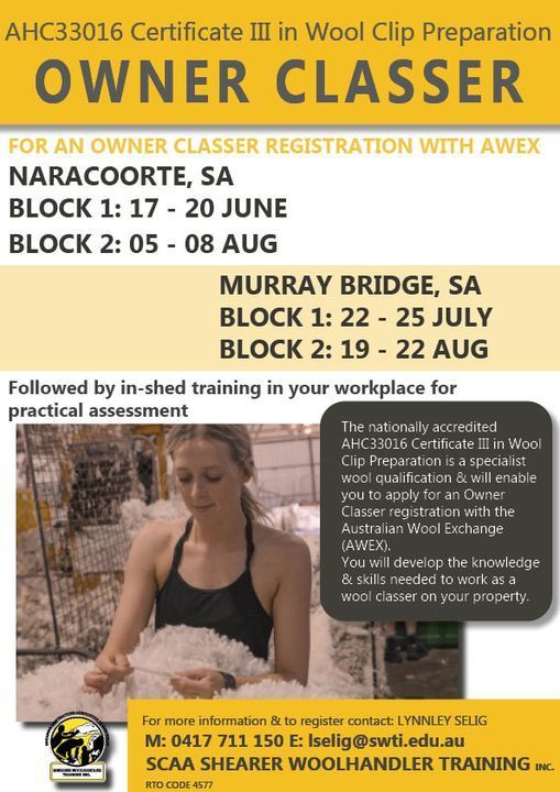 SA Owner classes workshops - 2 x 4 day blocks in either NARACOORTE or MURRAY BRIDGE. More details below or visit: buff.ly/44iGnci @woolinnovation @mackillopgroup @msfmallee