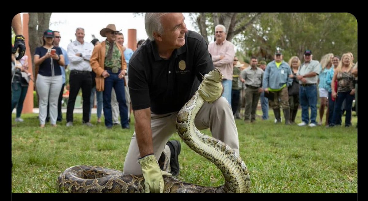 Hey @RepCarlos, shouldn't you be talking to your buddies instead of wrestling snakes?