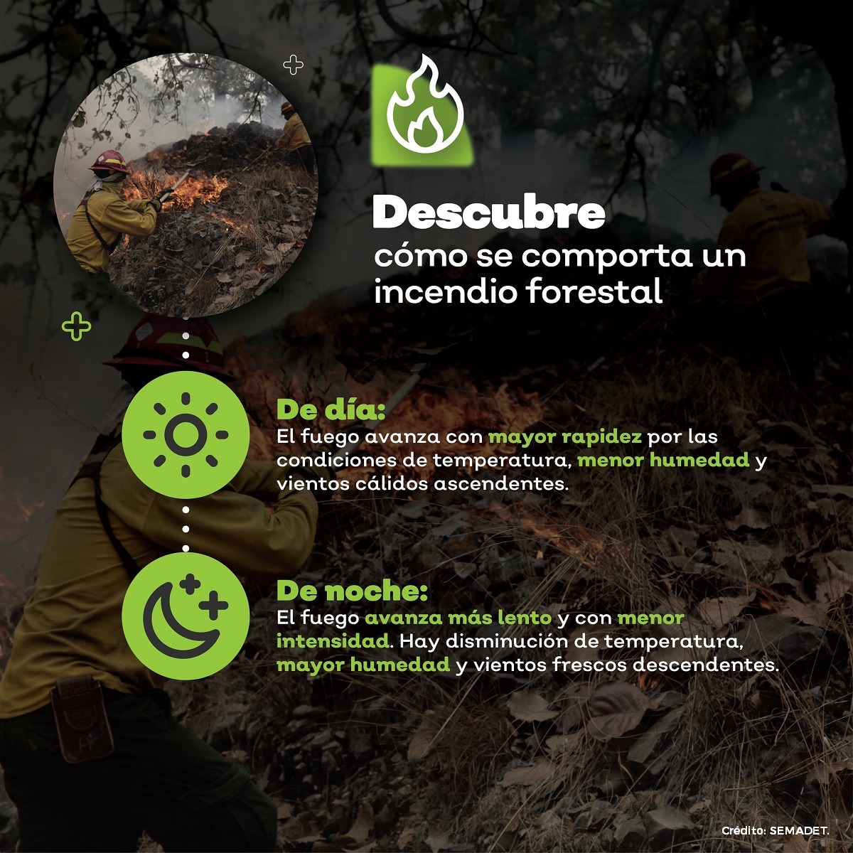 ¿Sabes cómo se comporta un #IncendioForestal? 🤔🌲🌳🔥 Es responsabilidad de todas y todos prevenir estos desastres que dañan el hogar de las comunidades, plantas y animales. 🌱👫🦋🦉🐞🐿️🐆🪺 Si detectas uno repórtalo al 800 737 00 00 o al 911. #PrevenirParaConservar 📞🚒💦🔥👩‍🚒