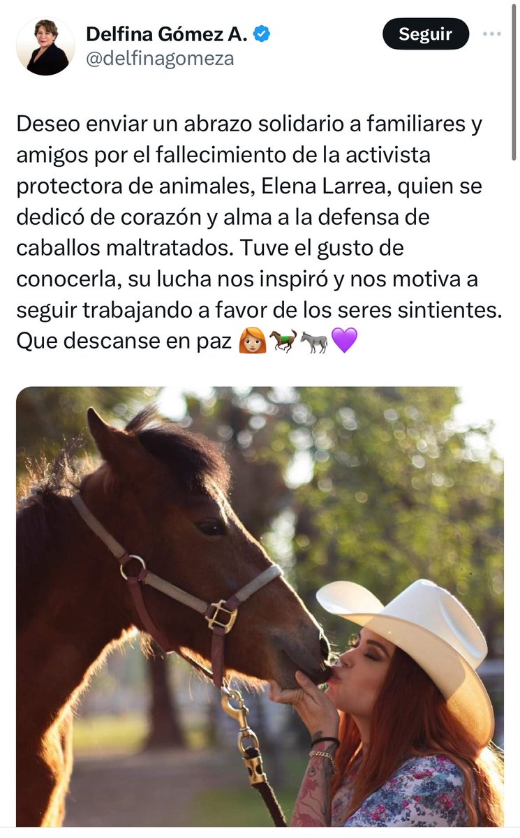 Ah pero cuando falleció Elena Larrea… eres una cínica mentirosa cualquiera. @delfinagomeza saludos