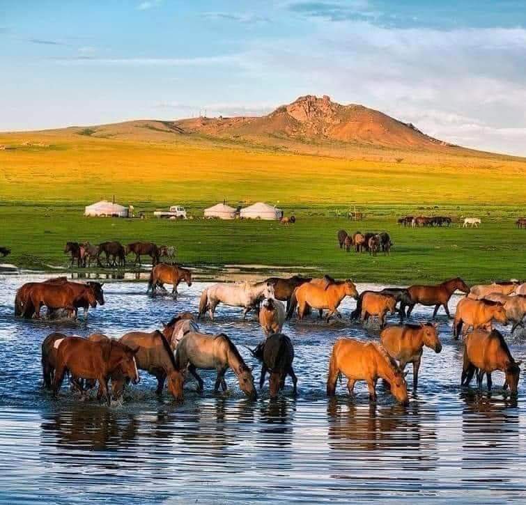 Өглөөний мэнд,
Баянхонгорын Байдрагийн гол.