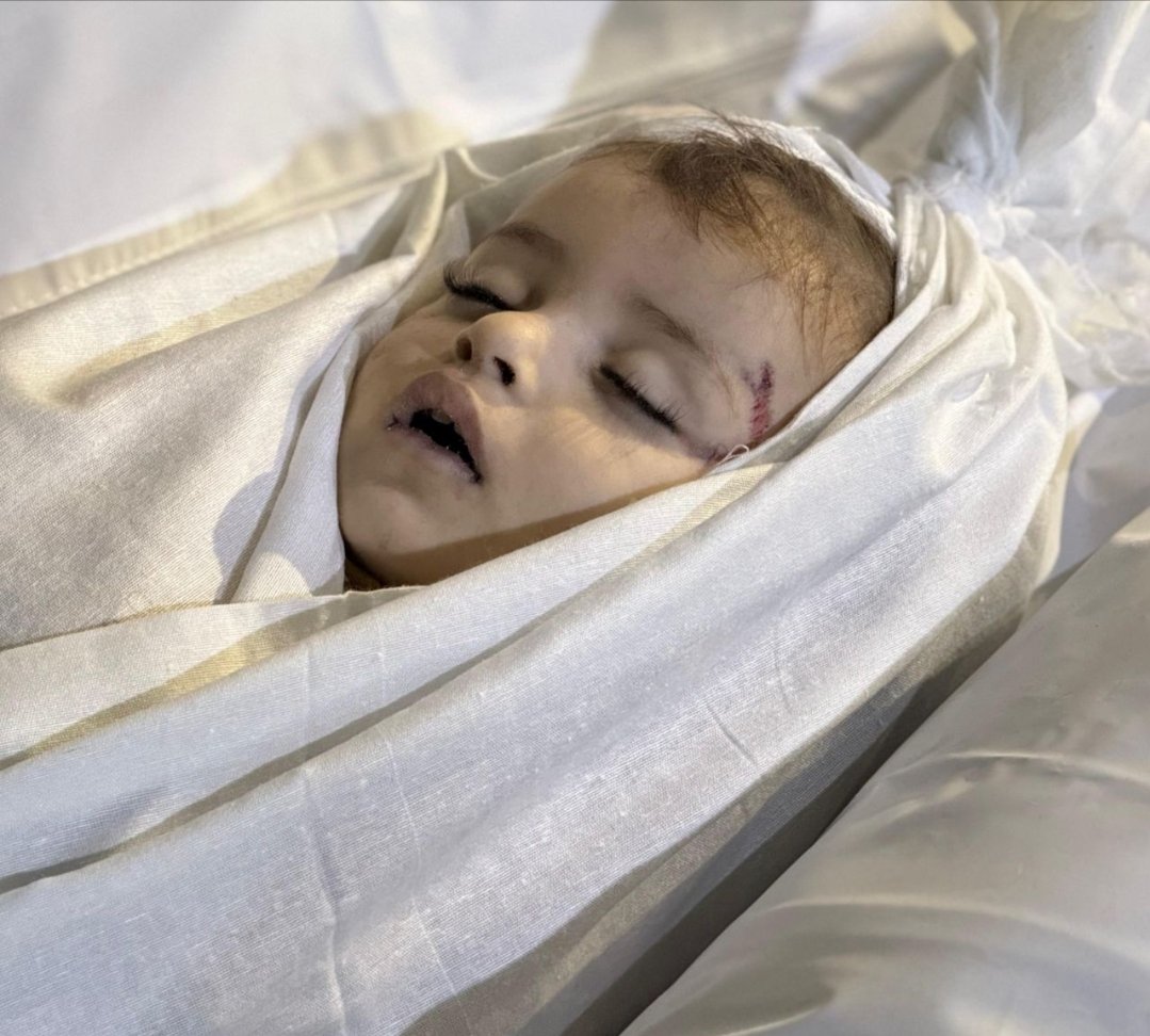 Timesofgaza's tweet photo. 16 people killed in a series of Israeli airstrikes on family homes in Rafah tonight.

The death toll is expected to rise. https://t.co/lpRir0mPe9