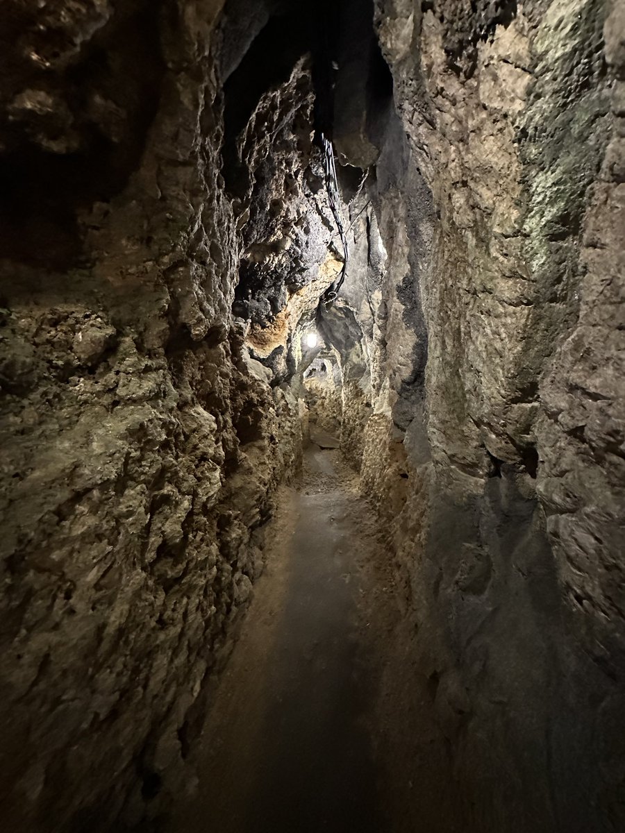 If my #eledenring experience has thought me anything it’s that there will be a boss at the end of this trial: (A natural cave in Okinawa)