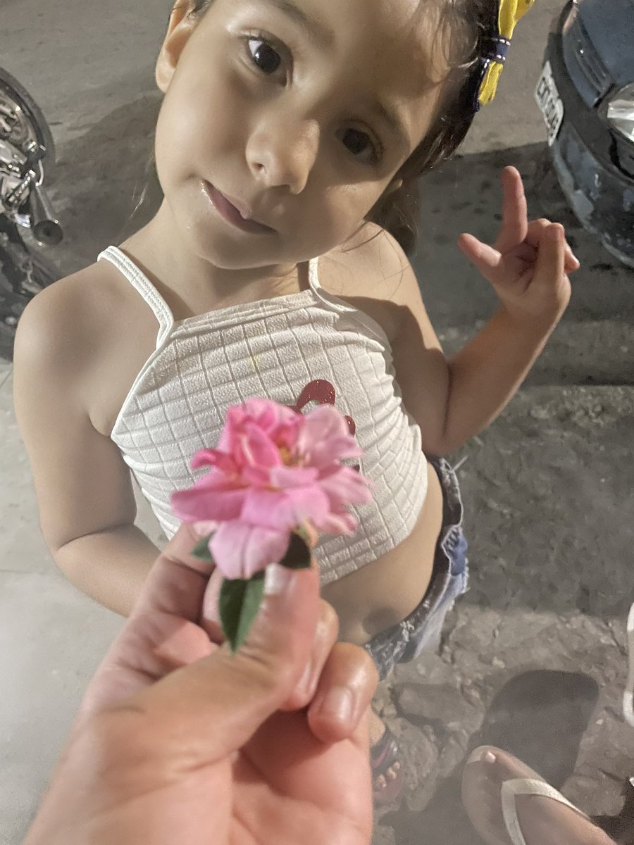 o_ryan7's tweet photo. Ela me deu uma flor 🥺 https://t.co/6WC3m3Kd5Y