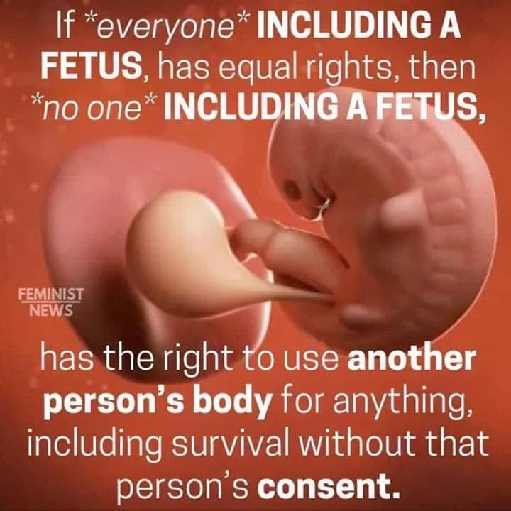 @TessaMeshelle @DeansJules Again, irrelevant to the core issue. The human DNA doesn't negate the autonomy of the host. My aunt needs a kidney. I can't take yours, for her. No one has any inherent right to occupy or use the body of another against their will. Period.