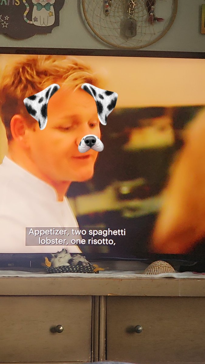 Which do you like best? 😄 

@GordonRamsay, this is very important. 😄 🤣 
#hellskitchen #GordonRamsay #Snapchat