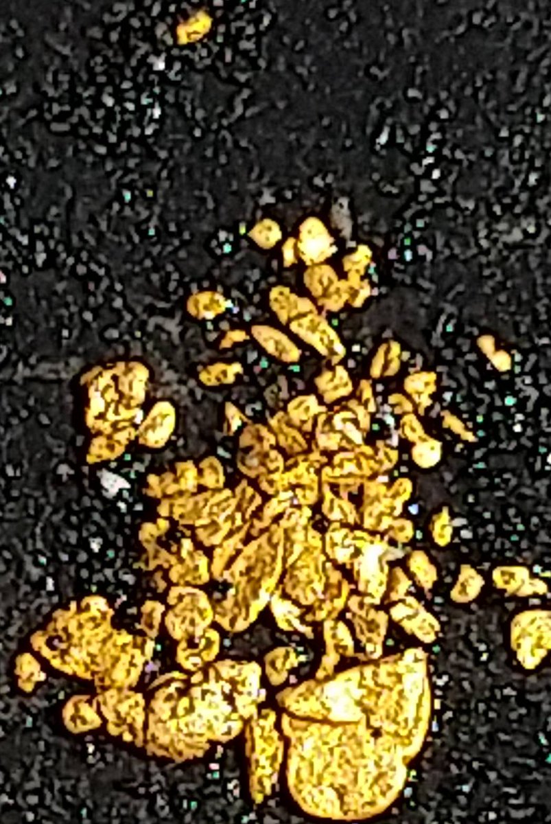 昨日師匠とUさんの３人で以前から気になってた場所に行って来ました。土砂を掻き分けながら岩盤付近を掘り進めていったら今回の成果となりました。３ミリを先頭に満足の結果でした。コロナと肺炎にかかり少し息切れしましたが、砂金を見ると苦しさも忘れますね( =＾ω＾)