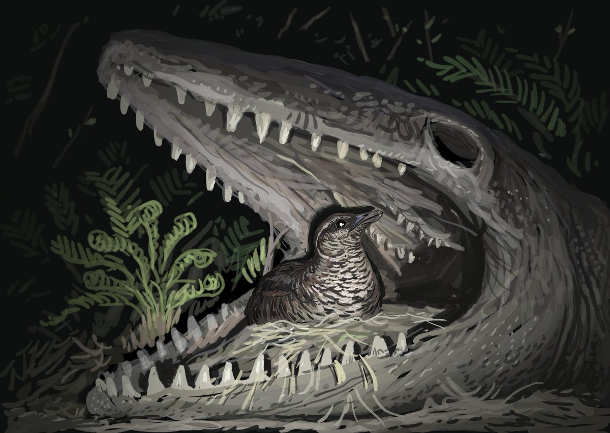 JoschuaKnuppe's tweet photo. Results from the #paloestream!
Today we did pieces inspired by talks give on yesterdays #PaleostreamCon
Williamsoniella coronata surviving ashfall, an adult Diplodocus based on preserved scales on a juvenile, Nursallia in Cretaceous Lebanon and Asteriornis nesting in a mosasaur https://t.co/bIc66XfEb0