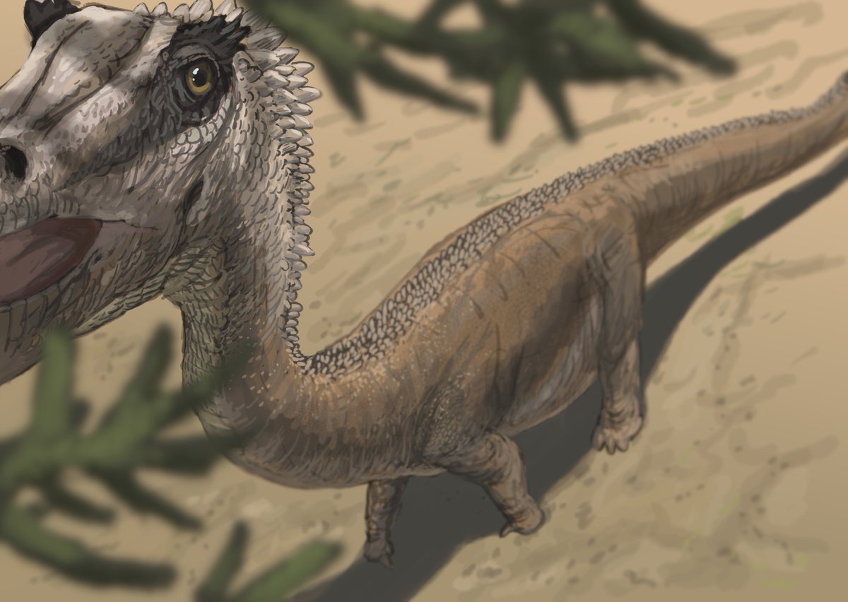 JoschuaKnuppe's tweet photo. Results from the #paloestream!
Today we did pieces inspired by talks give on yesterdays #PaleostreamCon
Williamsoniella coronata surviving ashfall, an adult Diplodocus based on preserved scales on a juvenile, Nursallia in Cretaceous Lebanon and Asteriornis nesting in a mosasaur https://t.co/bIc66XfEb0