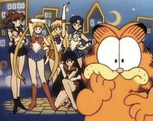 Sailor Moon and Garfield. The best crossover in history.
 #SailorMoon #Garfield