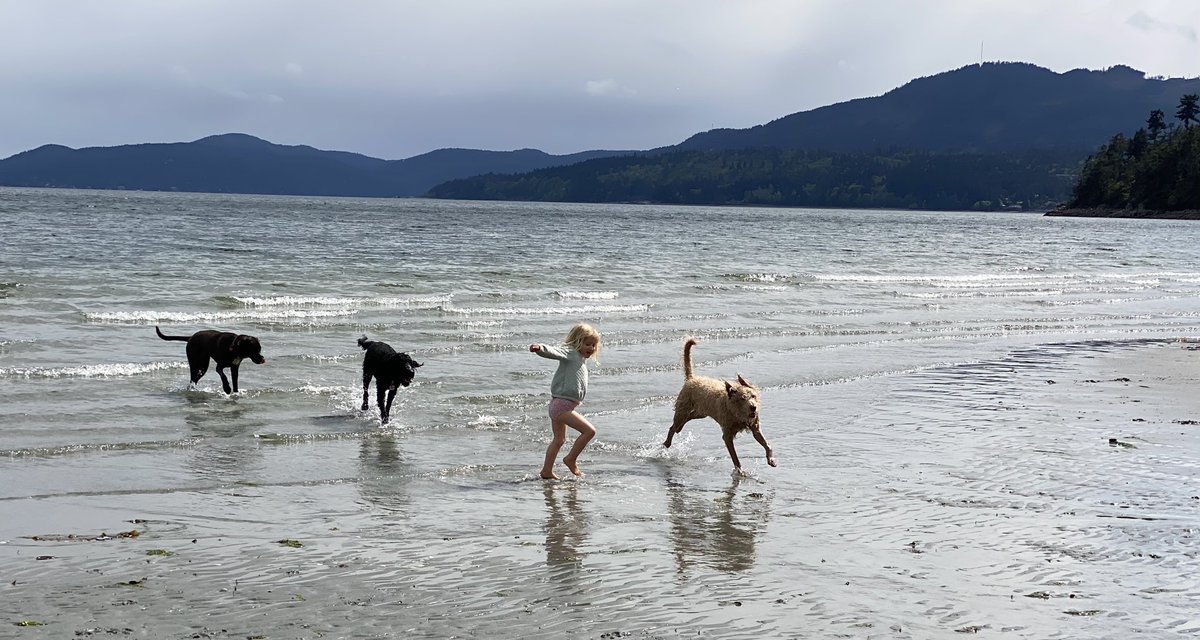 No pants: ✅ A pack of dogs: ✅ By Nina’s standards, this is as good as Sunday afternoons get.