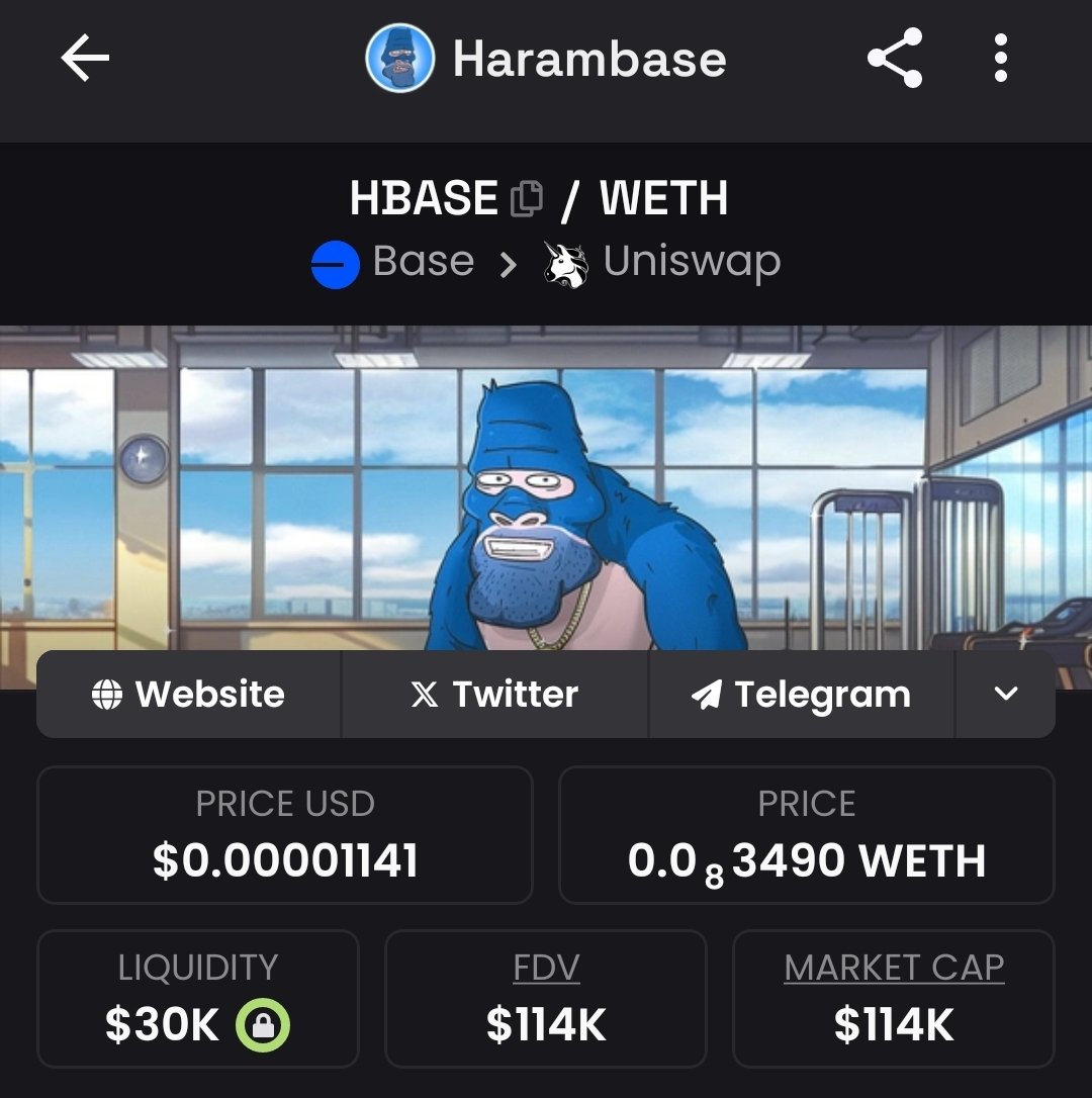 MrToortles's tweet image. Legends never die Harambe made it to base
$HBASE  , you won&apos;t get a better entry from here.  Don&apos;t fade it CHAD #HBASE 
0x1842C4f406B7b4f2ffEFc63687C2Fc05865bEE44