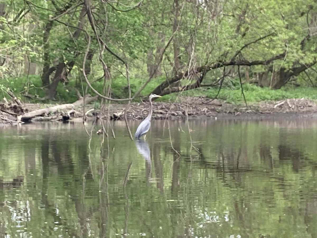 ClevelandKayak tweet picture