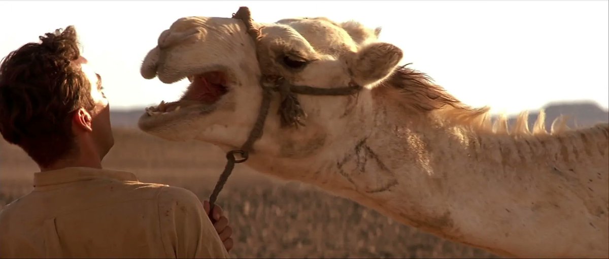 How about you darlin', would you like a kissy wissy? That scene between Johnathan and the camel was all an improv by John Hannah as it would be difficult to get a camel to act like that on cue. #johnhannah #themummy #camels 

22/25