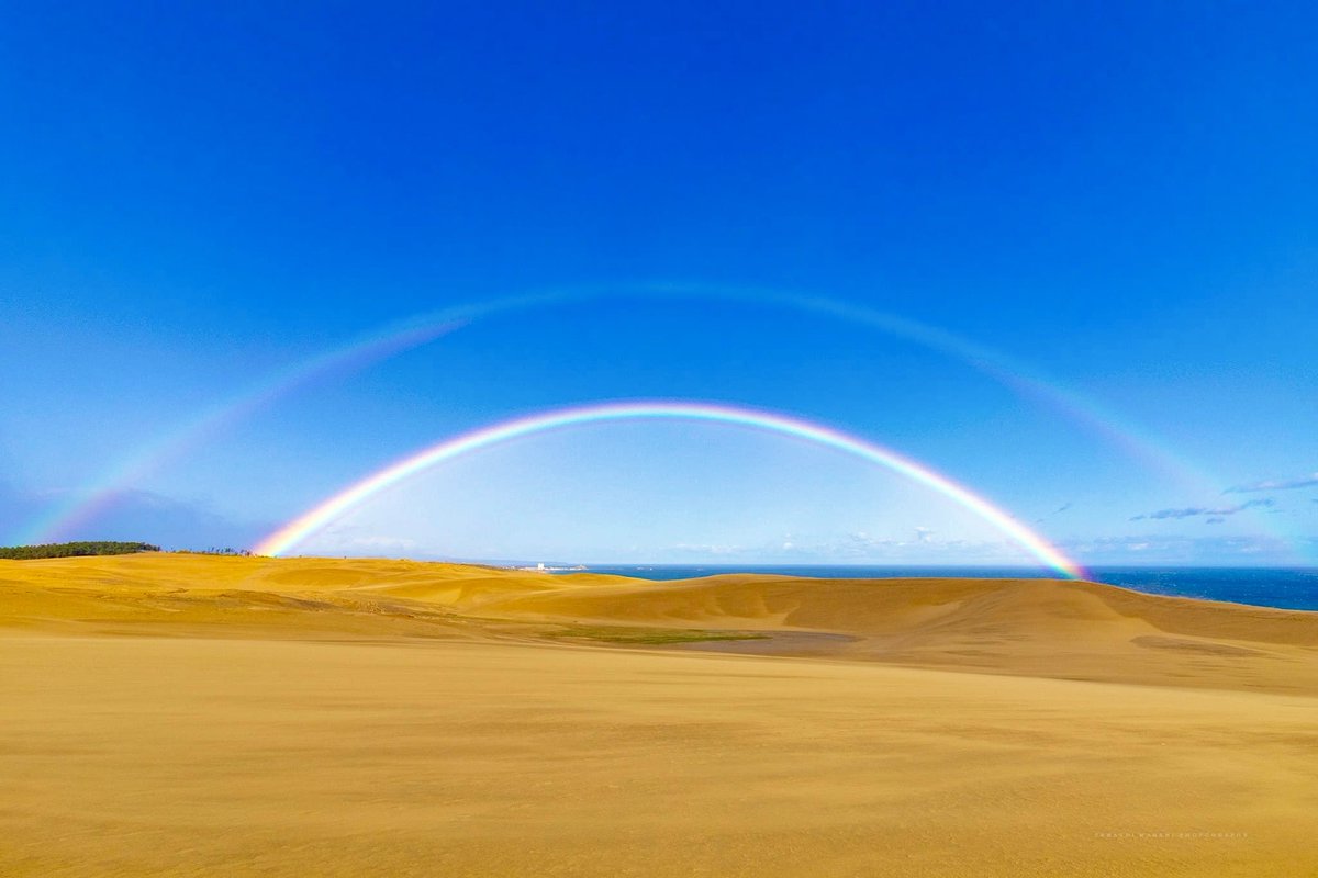 砂の惑星にかかる二重の虹。
なかなかに貴重な現象。

#鳥取県
#鳥取市
#鳥取砂丘