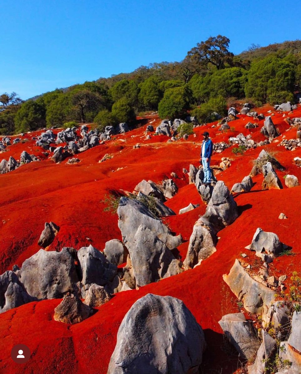 Un pedacito de Marte en Hidalgo Cerca de Pachuca, en le centro de México, están las Dunas Rojas de Pacula. Por su vibrante color rojizo los locales lo han apodado de “planeta rojo”. Aunque parece un paisaje de otro mundo, actualmente es poco conocido. 📸: Fabian Escalante…