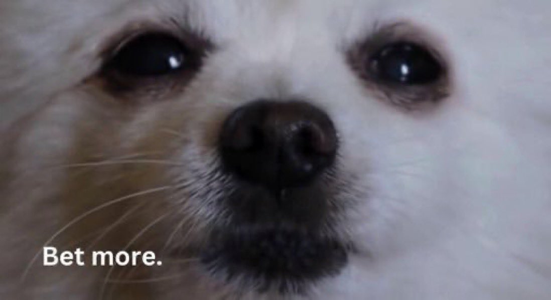 $BORK DESERVES BILLIONS💎 

Team has constantly been building ✅ 

Over 30k $SOL being staked in the Validator ✅(over 4 Million USD) 

Well known names are at the front of this project advising ✅

Every box is being checked here! 👀

4jZXkSNgTQKCDb36ECZ6a2aNzcUniGcDeXgTdtM2HxAX