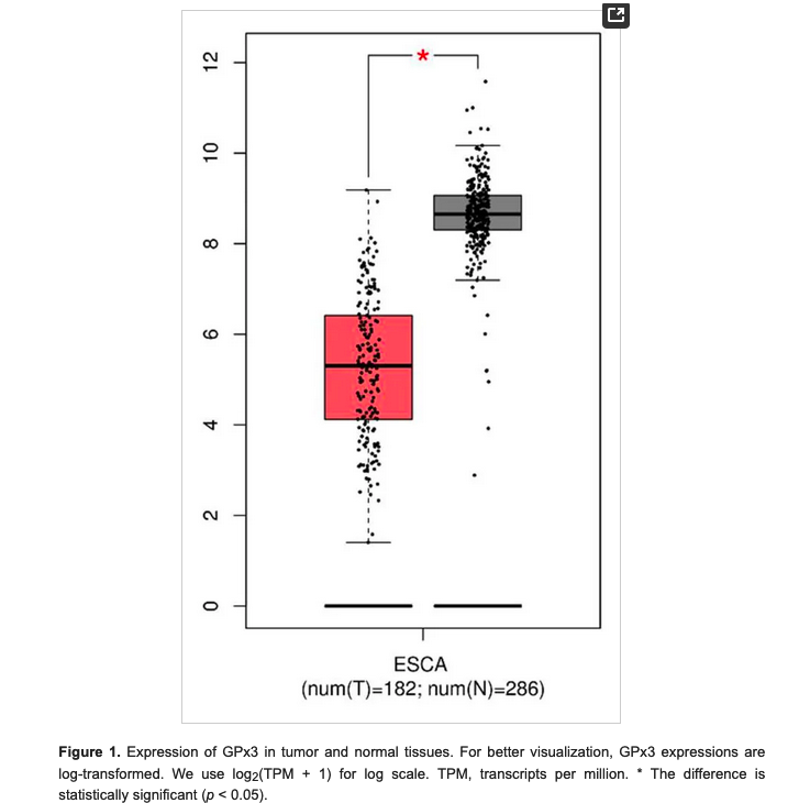 #Selenium May Be Involved in #Esophageal Squamous #Cancer Prevention by Affecting GPx3 & FABP1 Expression: A Case-Control Study Based on Bioinformatic Analysis mdpi.com/2072-6643/16/9… @_atanas_ @_INPST @ScienceCommuni2 @DHPSP @puddleg @SalgiFoundation @ECSCproject @BCancerT…