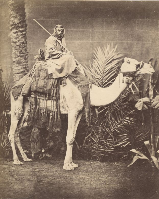 A Bedouin man on top of a camel, Suez, Egypt, 1876.
