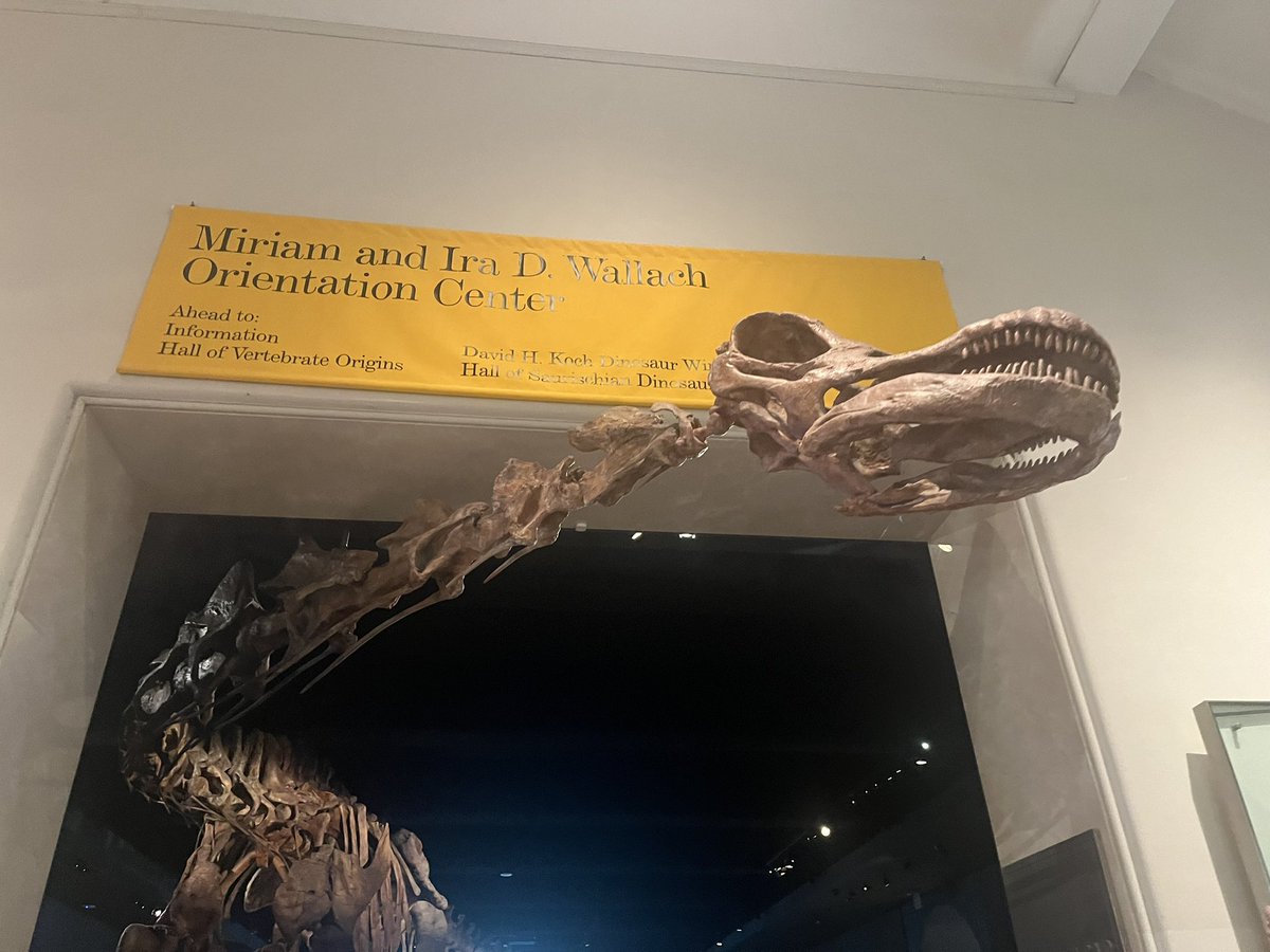 Not to flex but I got into AMNH for free