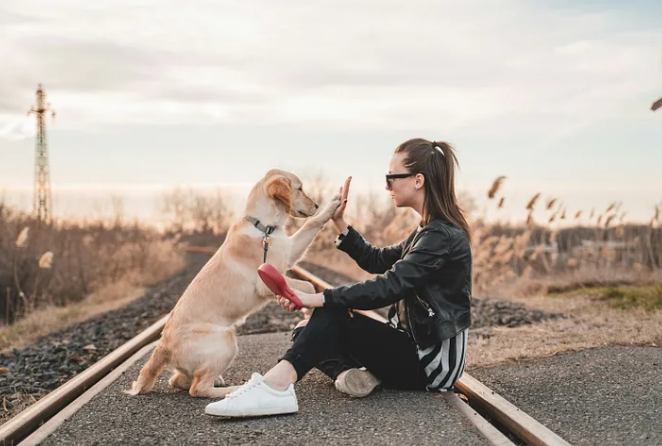 Train Your Dog to Walk Politely Past Distractions
Check this: megainfos.online/2024/04/train-…

#doglovers #puppy #mansbestfriend #furbaby #dogsofinstagram #woof #adoptdontshop #doglife #dogmom #dogsoftwitter