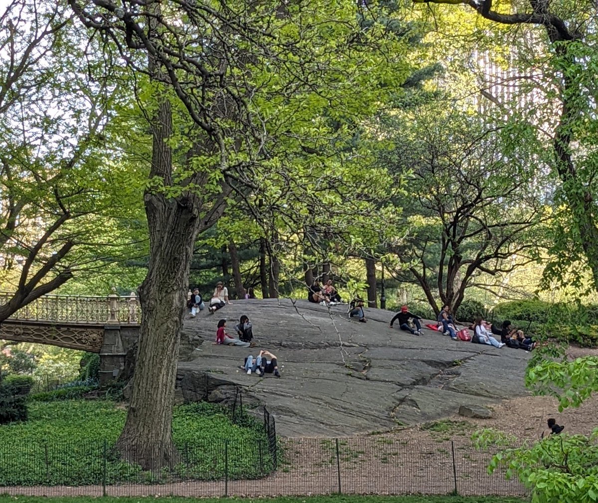 'Needs more big boulders for people to perch on' is an accurate description for nearly all American parks. Folks just love hanging out on big rocks!